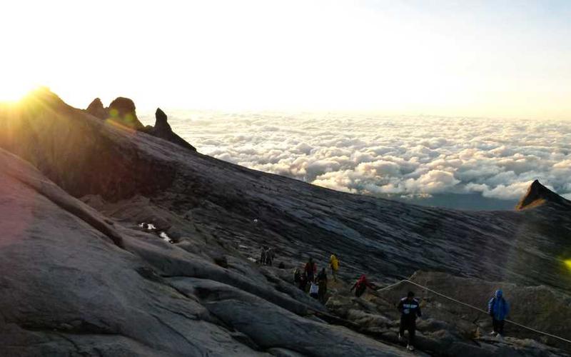 海贼王剧情分析